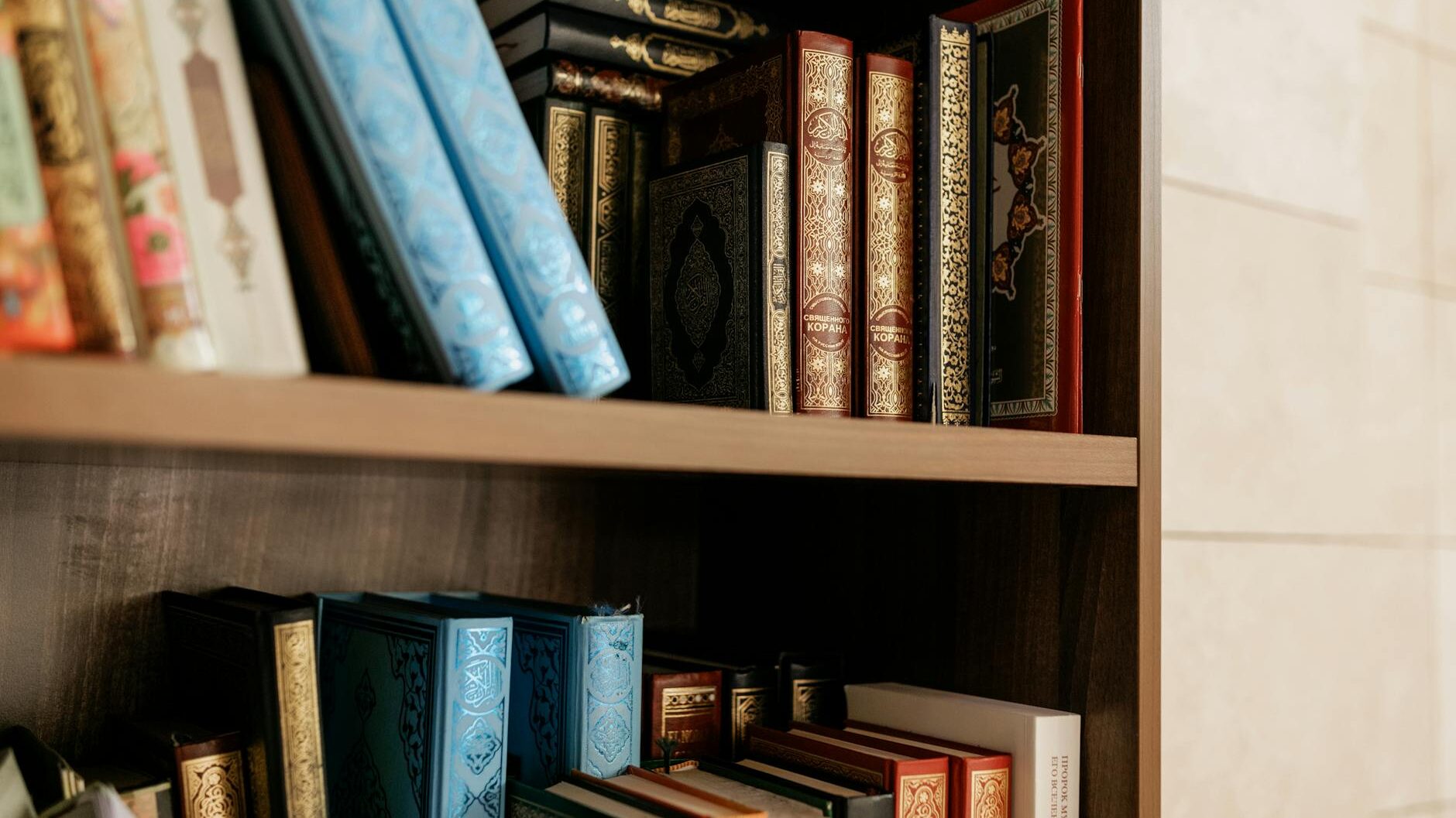 books on brown wooden shelves